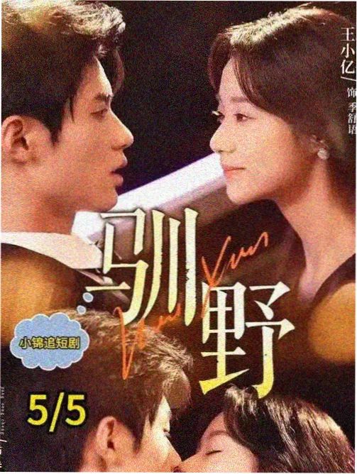 奇迷影视作品档案 剧集候鸟放映厅 场景图
